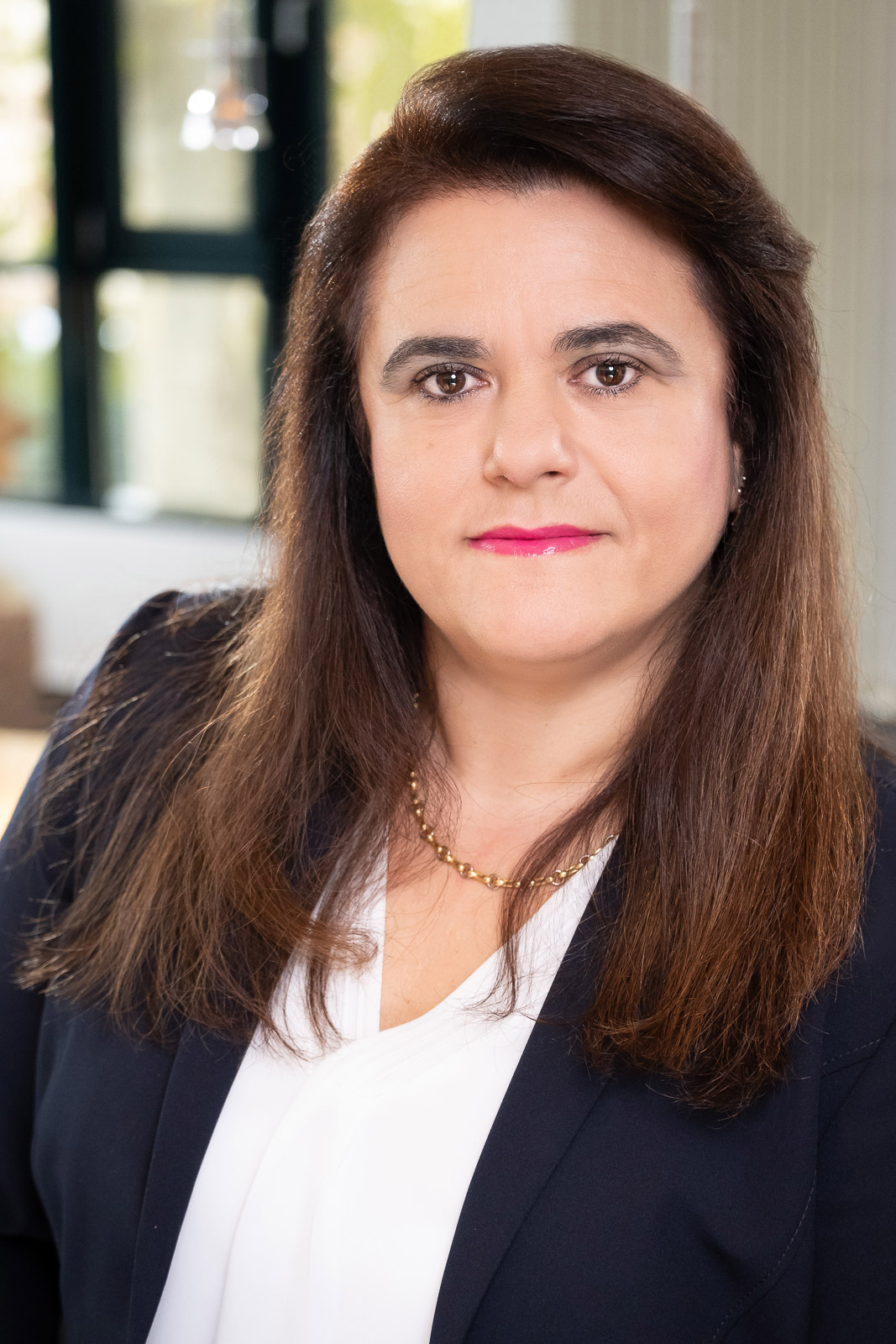 Rechtsanwältin Dr. Irini Ahouzaridi